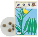 野菜の種 オクラ 理科教材 理科教材 備品