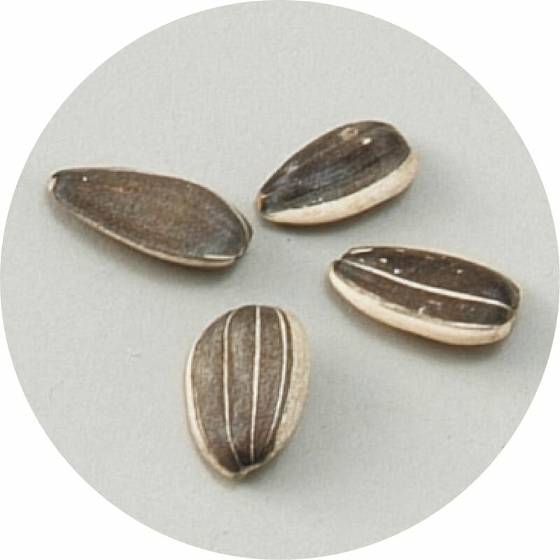 �֤μ� �ҥޥ�� ���ʶ��� ���ʶ��� ����