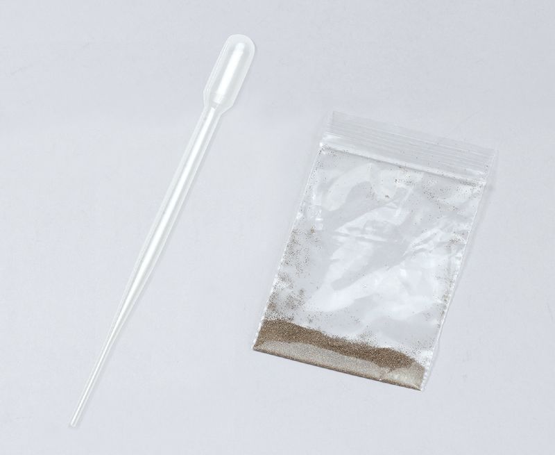 �ƤΤҤ�¸��� ��Ƥ륨�Ӥ�ɤ� �ޥ����� ��ΤҤ�¸��� �ʳع���