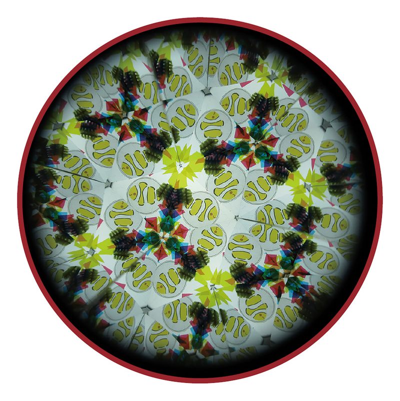 美容コスメ雑貨 CONNECTの万華鏡工作キット うみのなかま 万華鏡 図工 工作 クラフト ホビー｜アングル2
