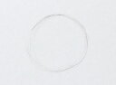 ニクロム線 0.1x300mm 理科教材 理科教材 備品