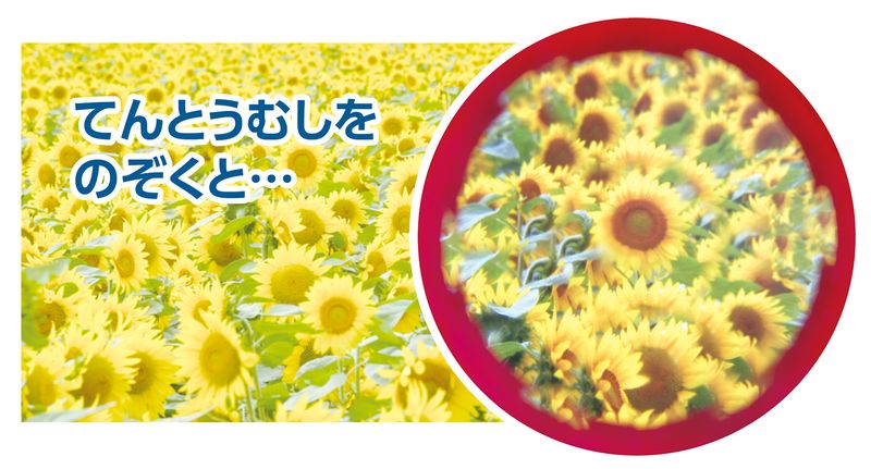 万華鏡レンズ てんとうむし 室内あそび 一般玩具 2