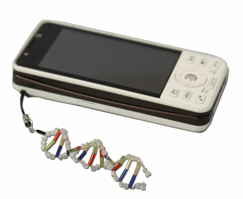 DNAストラップ作り 理科教材 理科教材 備品 2