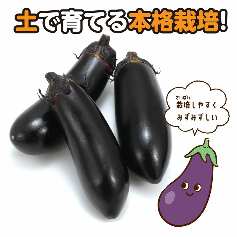 （まとめ）マルチ洗浄瓶 500ml赤【×30セット】