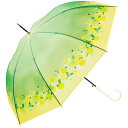 ビコーズ クリアアンブレラ リプトン フルーツインティー グリーン 緑 紅茶ブランド フルーツ 傘 レディース 長傘 雨傘 ビニール傘 透明 クリア 大きい 丈...