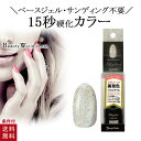 ポリジェリカ エスペシャリー ベースinカラー シルバースカッシュ 5g ジェルネイル シルバー カラージェル UV LED 対応 15秒 硬化 サンディング不要