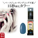 ポリジェリカ エスペシャリー ベースinカラー イングリッシュブルー 5g ジェルネイル ブルー カラージェル UV LED 対応 15秒 硬化 サンディング不要
