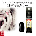 ポリジェリカ エスペシャリー ベースinカラー パーフェクトブラック 5g ジェルネイル ブラック カラージェル UV LED 対応 15秒 硬化 サンディング不要