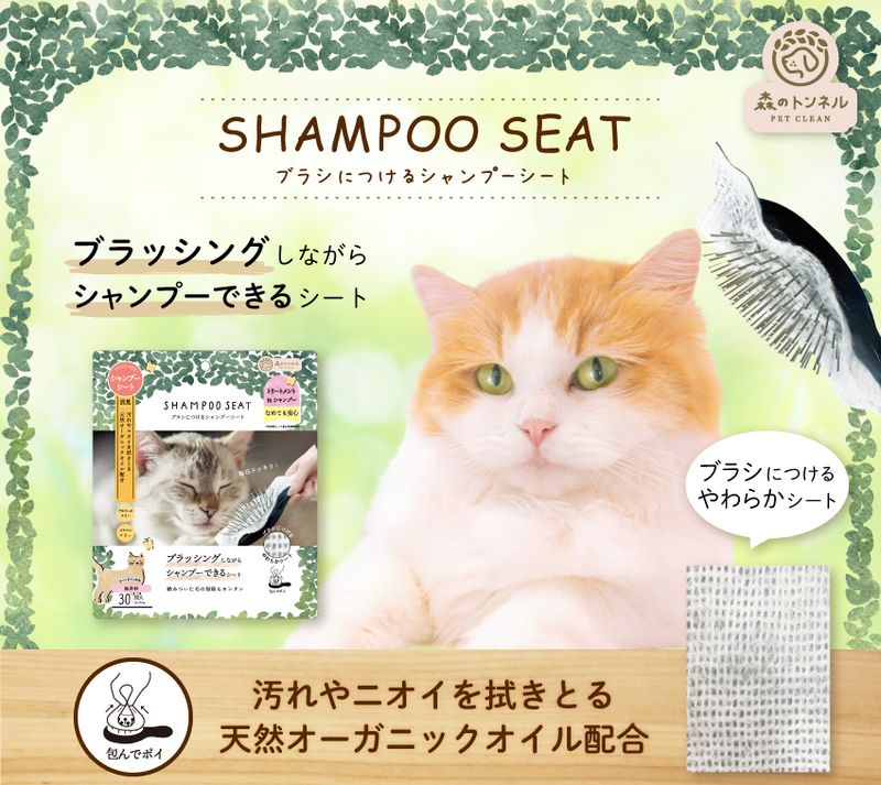 ��4�ĥ��åȡ� ���Υȥ�ͥ� �֥饷�ˤĤ��� �����ס������� ǭ�� 30�� ǭ �����åȥƥ��å��� �ɥ饤�����ס� ǭ �����ס������� ǭ �ý�