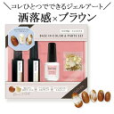 STジェリス ジェルアートセット ソフトジェル ジェルネイルセット ベースインカラー ブラウン ゴールド トップジェル ネイルパーツ