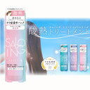 STサロイング AHトリートメント 軟毛用 酸熱トリートメント ヒートプロテクト ヘアマスク