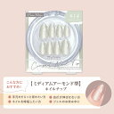 STジェリス コンパクトネイルチップ ラディアントシルバー ネイルチップ 30枚入 ミディアム つけ爪 短め シンプル かわいい