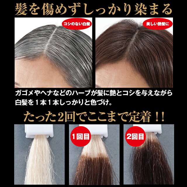 シェモア ガゴメとヘナのカラートリートメント ダークブラウン 200g トリートメント 白髪染め ヘアケア ガゴメ昆布 化粧品 connectgate-10013810 美容コスメ雑貨 CONNECT サンプル画像3