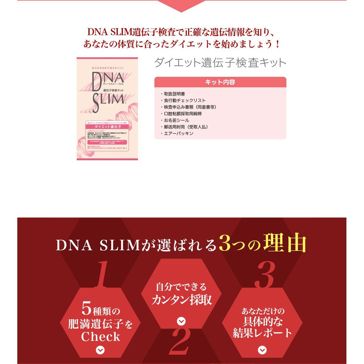 ダイエット 肥満遺伝子検査キット DNA ダイ...の紹介画像3