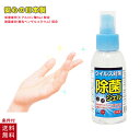 除菌ジェル 手指除菌 ハンドジェル 除菌スプレー アルコールジェル エタノール 携帯用 120ml 日本製