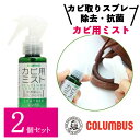 【2個セット】 コロンブス レザーキュア カビ用 ミストプラチナ 100ml カビ取りスプレー 革製品 カビ取り クリーナー カビ除去 抗菌