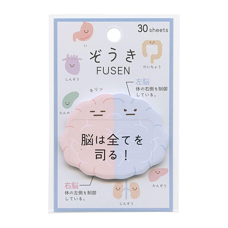 付箋[ぞうき ダイカット ふせん]臓器/脳 カミオジャパン 新学期準備雑貨 おもしろ文具 グッズ 通販 62x75mm