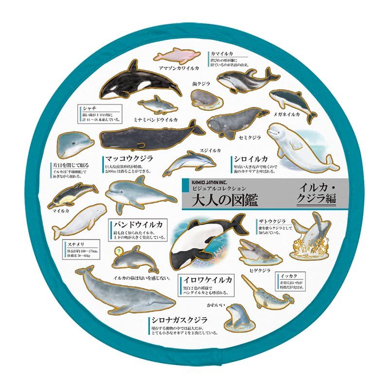 カミオジャパン うちわ 大人の図鑑折りたたみうちわ イルカ クジラ 231938