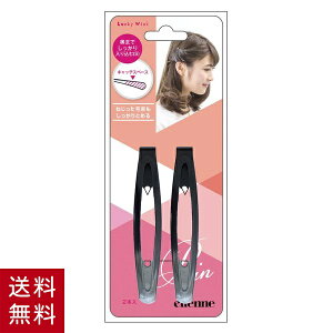 【送料無料】 ヘアピン パッチン トップピン S 2P ブラック 前髪 パッチンピン ヘアカット ヘアーアクセ ヘアアクセ ヘアアクセサリー 髪止め 髪留め ヘアピン ヘアーピン プチプラ メンズ レディース