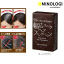マイノロジ 幅広スティック ヘアファンデーション 9g ダークブラウン 茶色 ブラウン ヘアパウダー ヘアシャドウ 白髪 ハゲ隠し 薄毛隠し ボリューム感アップ 増毛 パウダー