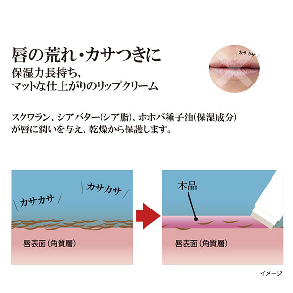 【送料無料！】BRO.(ブロ) FOR MEN　Lip Barm リップクリーム リップスティック 保湿 乾燥ケア グロス メンズ 男性用 スクワラン シアバター 日本製