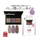 ポリジェリカ ネイル アップ パレット パレット型 コンフォートブラウン ジェル ネイル カラージェル 発色 NUP1202