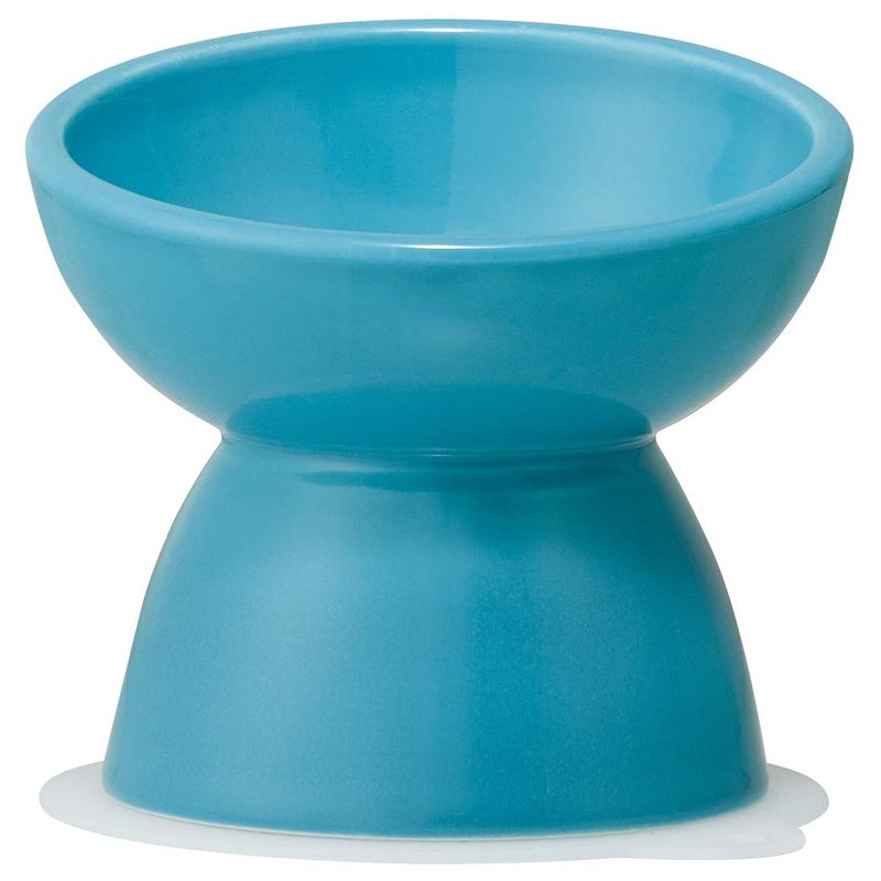 スケーター skater 超小型犬用 食器 陶磁器製 ペット餌入れ マット付 ミント CHOB1