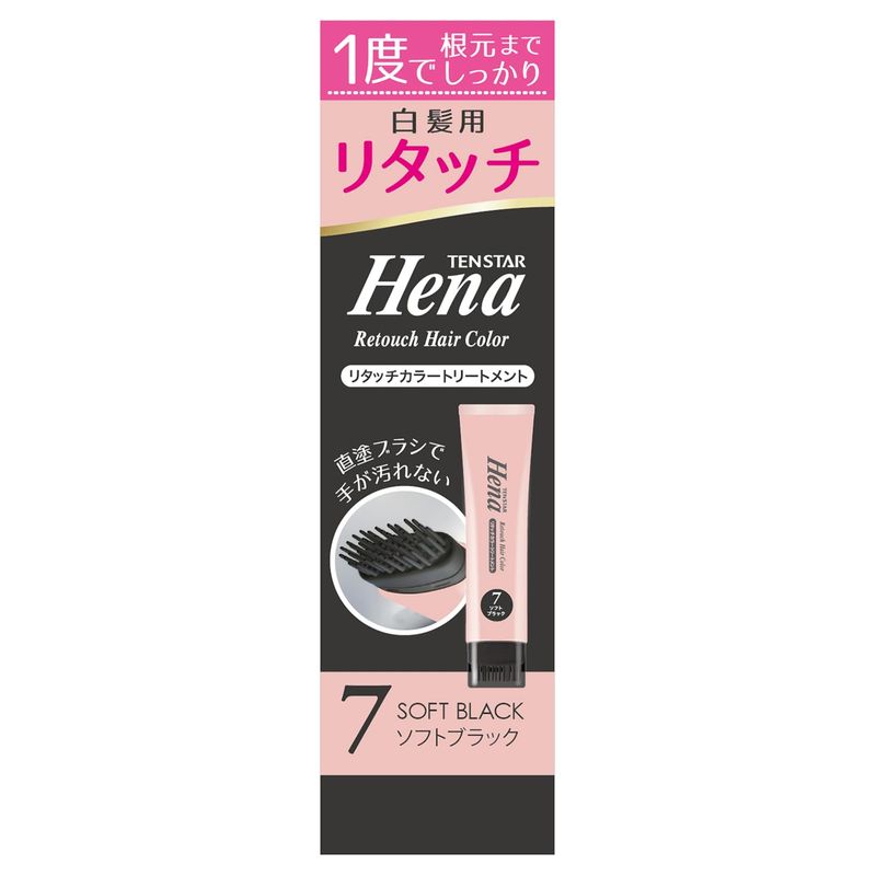 テンスター ヘナリタッチカラートリートメント ソフトブラック