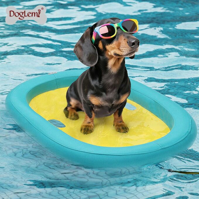 ペット 犬 浮き輪 ボート ワンちゃん ドッグ フロート ペット用 ワンちゃん用プールフロート 小型犬 中..