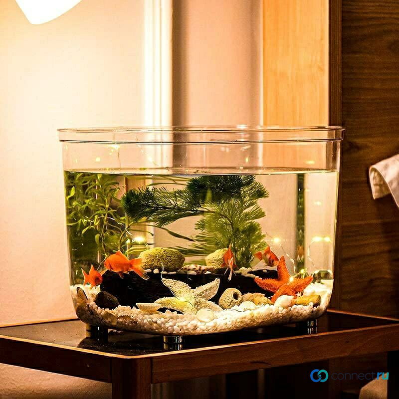おとショップの水槽 金魚鉢 おしゃれ 高透明 PET素材 大きいサイズ/特大サイズ 卓上 透明 鉢 鉢 テーブル 爬虫類 カニ 暮らし 亀 金魚 部屋 アクセサリー オフィス多機能｜アングル3