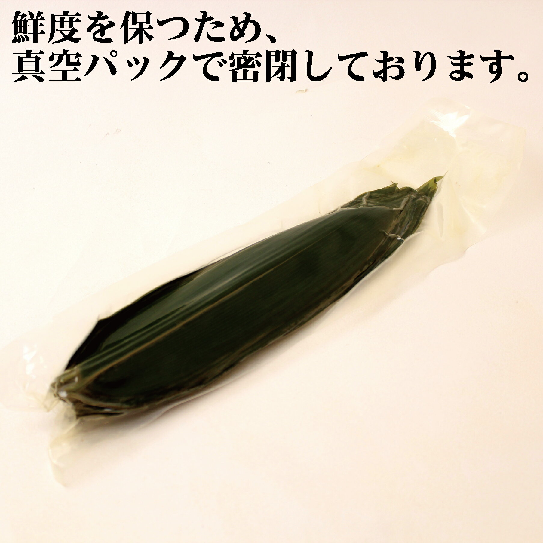 真空笹葉 【M】100枚入 (70～90×290mm) 笹の葉 盛り付け 日本料理 キッチン 皿 装飾 洋食 和食 魚 刺身 天然 料理用 飾り葉【葉っぱ】