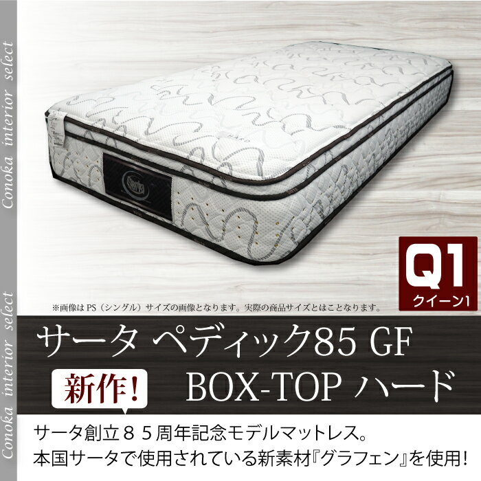 サータ ペディック 85GF BOX-T ハード　グラフェン