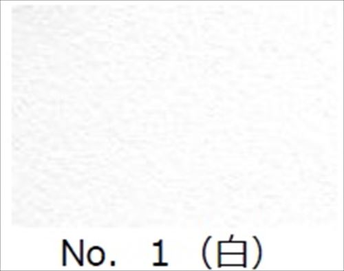 LINEݥۥ᡼ľ ٻ๩  SS No.1 [FUJIKAWA-00011565] ѻž夲