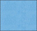 マット スタンダードマットS スカイ・ブルー 75 × 90 cm [AM00048] クリーンテックス メーカー直送