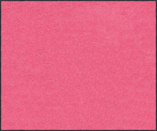 Rakuten - 【最大3万円クーポン配布中★27日09:59まで】マット スタンダードマットS ピンク 40 × 60 cm [AM00166] クリーンテックス メーカー直送