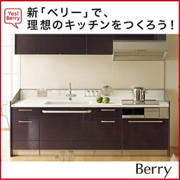 送料無料 トクラス Berry ハイバックカウンター I型タイプ 間口：2550mm 扉：黒紅 Bシンク IHヒーター メイン水栓金具：水栓一体型浄水器