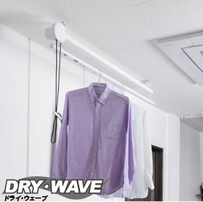 p ~ [TM1412] DRYEWAVE(hCEEF[u) ^JYƊ [J[