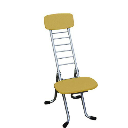 【最大3万円クーポン配布中★16日23:59まで】リリィチェア ナチュラル/シルバー [CSM-320TA] 椅子 ルネセイコウ メーカー直送