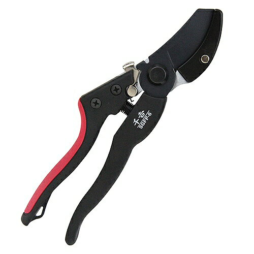 ��LINE�����ݥ���������� ���饹�ե����С������� �磻�ɥ���å������� ��� SGFP-6 [4977292628211] ƣ������ �᡼����ľ��