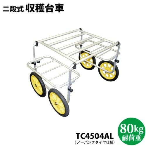 【LINEクーポン配布中】園芸運搬車 二段式収穫台車 4個積み [TC4504AL] ノーパンクタイヤ ハウスカー・台車・運搬機器などに シンセイ メーカー直送