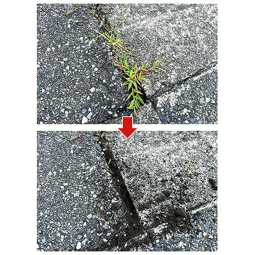 ��LINE�����ݥ�������۱������ �����ޤλ���֥饷 ��� [4977292666602] SZB-1 ƣ������ �᡼����ľ��