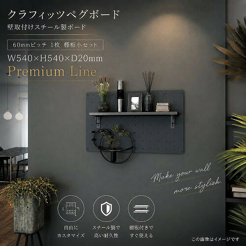 有孔ボード ペグボードセット 60mmピッチ 1枚 棚板小セット Premium Line  W540×H540×D20mm クラフィッツ メーカー直送