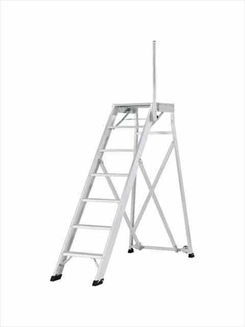 �ں���3���ߥ����ݥ��������23��01:59�ޤǡ��ޤꤿ���߼������(���̥��㥹������������ݤ�����ɸ������) ŷ�Ĺ⤵1.75m ���륤��(ALINCO) [CSD-175F] �᡼����ľ�� ˡ���͸���