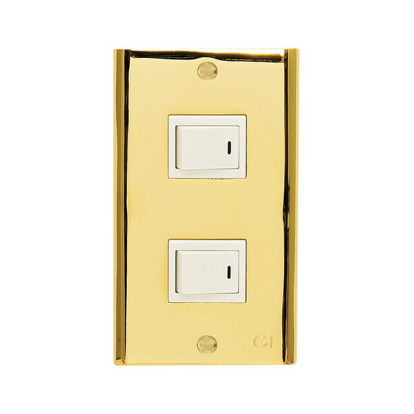 【最大3万円クーポン配布中★10日1:59まで】真鍮 スイッチプレート(フルカラーシリーズ用)PL02 金色 PVD加工 アンティーク ブラス 雑貨 [790072] ゴーリキアイランド