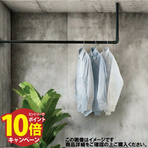 【エントリーでポイント10倍】 室内・屋外物干金物 天井付L型ハンギングパイプ Φ34 高さ455×幅1822 DRY・WAVE ドライ・ウェーブ [HGC45-1800] ブラック タカラ産業 メーカー直送