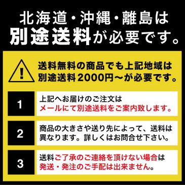 送料無料 川口技研 ホスクリーン SPCSS-W 2本入り あす楽