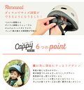 conspi:10002297のサンプル画像2