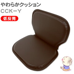 https://thumbnail.image.rakuten.co.jp/@0_mall/conspi/cabinet/itemn/c/cck-y_mainb0418.jpg