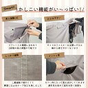 conspi:10002169のサンプル画像3