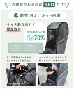 conspi:10002167のサンプル画像3